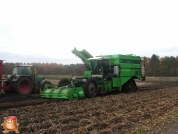 Harvesting potatoes