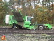 Harvesting potatoes