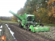 Harvesting potatoes