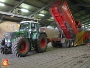 Harvesting potatoes