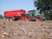 Harvesting potatoes