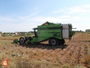 Kartoffelroden bei van den Borne Aardappelen.