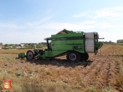 Kartoffelroden bei van den Borne Aardappelen.