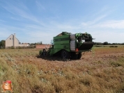 Kartoffelroden bei van den Borne Aardappelen.