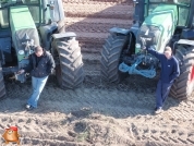 Harvesting potatoes