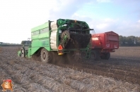 Harvesting potatoes