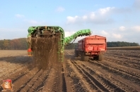 Harvesting potatoes