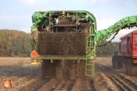 Harvesting potatoes