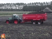 Harvesting potatoes