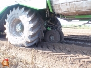 Harvesting potatoes