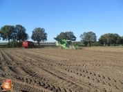 Harvesting potatoes