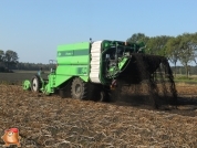 Harvesting potatoes