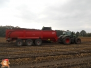 Harvesting potatoes