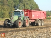 Harvesting potatoes