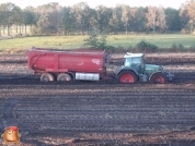 Harvesting potatoes