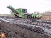 Harvesting potatoes