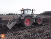 Harvesting potatoes