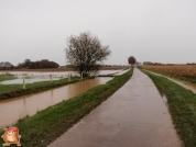 Aardappelenrooien bij van den Borne Aardappelen.