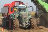 Harvesting potatoes