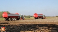 Harvesting potatoes