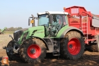 Harvesting potatoes