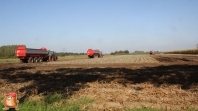 Harvesting potatoes