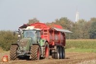 Harvesting potatoes