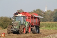 Harvesting potatoes