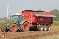 Harvesting potatoes