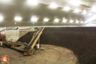 Kartoffeleinlagerung bei van den Borne aardappelen