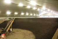 Kartoffeleinlagerung bei van den Borne aardappelen