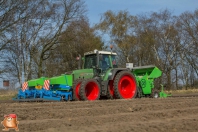 Planting potatoes