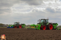 Planting potatoes