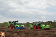 Planting potatoes