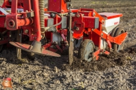 Bieten zaaien bij van den borne aardappelen