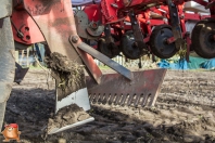 Bieten zaaien bij van den borne aardappelen