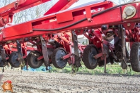 Bieten zaaien bij van den borne aardappelen