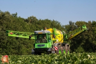 Aardappelen spuiten met dammann trac dt 3200h