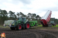 Planting potatoes