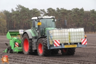 Planting potatoes