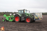 Planting potatoes