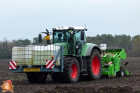 Planting potatoes