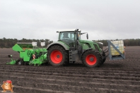 Planting potatoes