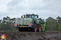 Planting potatoes