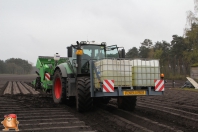 Planting potatoes