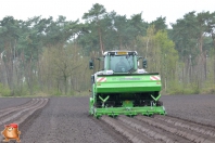 Planting potatoes