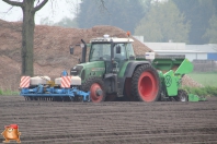 Planting potatoes