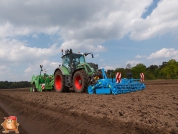 Planting potatoes