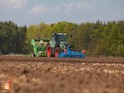 Planting potatoes