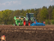 Planting potatoes